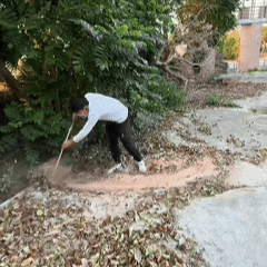 Blower for Leaves - Seese Pro