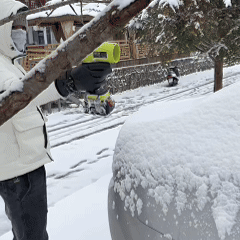 Blower for Leaves - Seese Pro